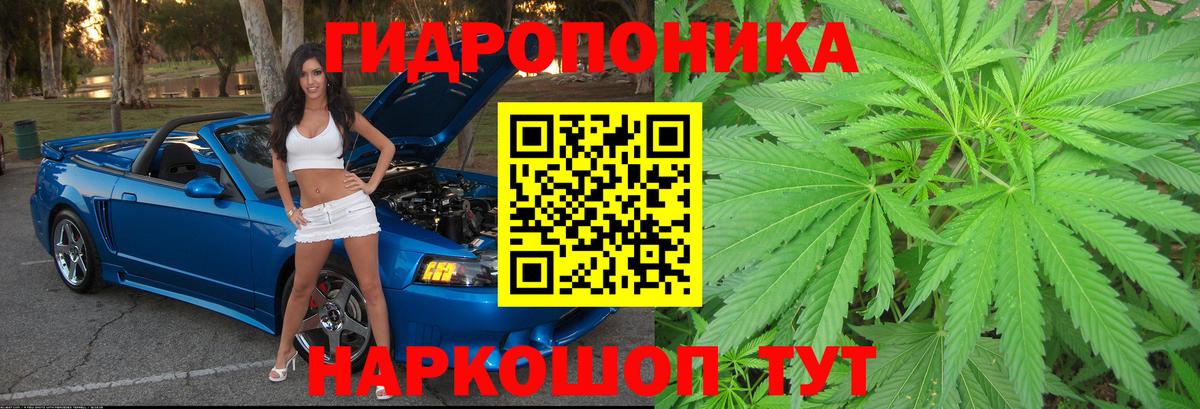 Бошки марихуана AK-47  Канабис сатива  Унеча  Марихуана Bruce Banner  Вход с VPN 